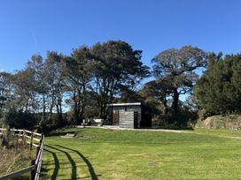 A shed surrounded by trees and grass area at Y Cwtch Newport