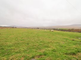 A field with sheep grazing at Bryn Re in Trawsfynydd near Llan Ffestiniog and Dolgellau