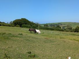 Virvale Barn - Devon - 903601 - thumbnail photo 18