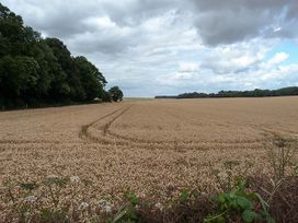 The Willows - Kent & Sussex - 903799 - thumbnail photo 19