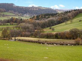 A landscape with sheep grazing in a field and hills in the background at Tyn Y Celyn Canol Clocaenog near Ruthin