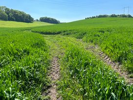 A green field with tractor tracks and trees at The Old Cart Shed in Winterborne Stickland
