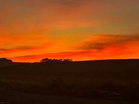A sunset over a field with trees at The Old Cart Shed in Winterborne Stickland