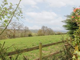 A grassy field with a wooden fence and trees in the background at Bryn yr Haf in Llanfair Clydogau near Lampeter