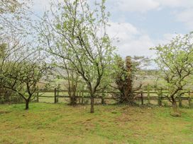 A garden area with several small trees and a wooden fence in the background at Bryn yr Haf in Llanfair Clydogau near Lampeter