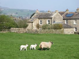 Cross Beck Cottage - Yorkshire Dales - 907018 - thumbnail photo 2