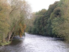 A river surrounded by trees with green and autumn leaves at Dovetail Cottage in Llangollen