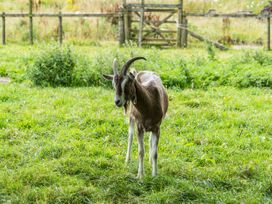 Hay Barn - Yorkshire Dales - 913007 - thumbnail photo 25