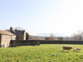 Zoey Cottage - Yorkshire Dales - 913342 - thumbnail photo 22