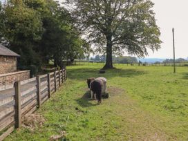 Stable Cottage - Yorkshire Dales - 913799 - thumbnail photo 26
