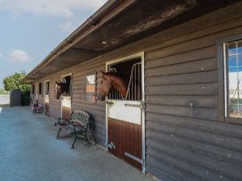 Horses in stables with a bench outside at Tawny Owl Barn Shipdham near Dereham
