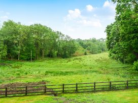 An outdoor field with trees and a fence at Jubilee at the Graythwaite Estate Graythwaite near Hawkshead