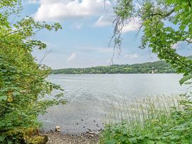 A view of a lake surrounded by trees and vegetation at Hammerhole at the Graythwaite Estate near Hawkshead