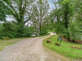 A gravel path leading through trees at Hammerhole at the Graythwaite Estate near Hawkshead