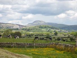 Penyghent View - Yorkshire Dales - 914777 - thumbnail photo 17