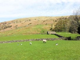 Farrier's Cottage - Yorkshire Dales - 915228 - thumbnail photo 12