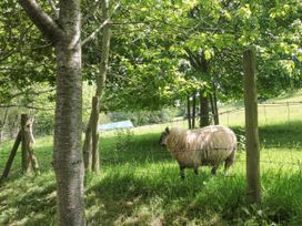 The Barn - Somerset & Wiltshire - 915884 - thumbnail photo 37