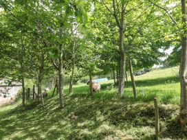 The Barn - Somerset & Wiltshire - 915884 - thumbnail photo 40