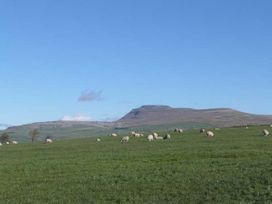 Black Horse Cottage - Yorkshire Dales - 916487 - thumbnail photo 12