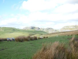 Black Horse Cottage - Yorkshire Dales - 916487 - thumbnail photo 18