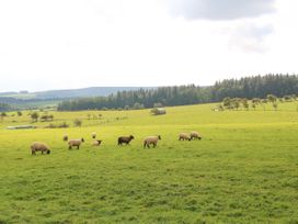 The Barn Cottage - Northumberland - 916544 - thumbnail photo 26