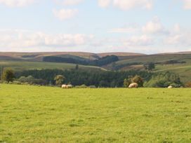 The Barn Cottage - Northumberland - 916544 - thumbnail photo 29