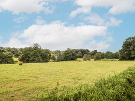 Holly Farm Cottage - Mid Wales - 917219 - thumbnail photo 34