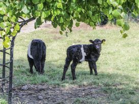 Tewets - Lake District - 918617 - thumbnail photo 32