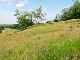 A grassy field with trees and a hill at Dove Cottage at the Graythwaite Estate near Hawkshead