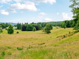 A field with trees and blue sky at Dove Cottage at the Graythwaite Estate near Hawkshead
