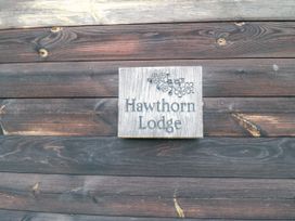 Hawthorne Lodge - North Yorkshire (incl. Whitby) - 920687 - thumbnail photo 15