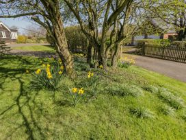 Clock Tower Cottage - Somerset & Wiltshire - 922236 - thumbnail photo 34