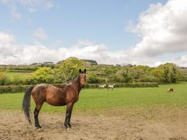 Higher Whiddon Farm Whiddon Well - Devon - 922472 - thumbnail photo 33