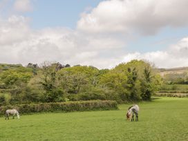 Higher Whiddon Farm Whiddon Well - Devon - 922472 - thumbnail photo 34