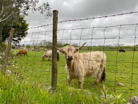 Hendy Cottage - North Wales - 923445 - thumbnail photo 18