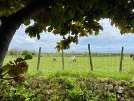 Hendy Cottage - North Wales - 923445 - thumbnail photo 19