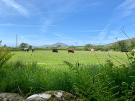 Hendy Cottage - North Wales - 923445 - thumbnail photo 26