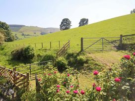 A landscape view with a gate and fence at Peniarth in Penybontfawr near Oswestry