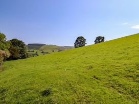 A grassy field with trees and hills at Peniarth, Penybonfawr near Oswestry