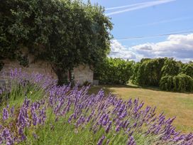 A garden with lavender and greenery at Pear Tree Cottage in Mark near Burnham-on-Sea