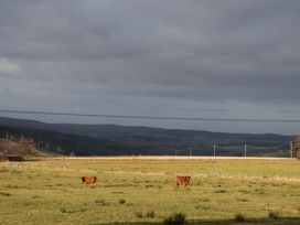 Bogairn - Scottish Lowlands - 925340 - thumbnail photo 30
