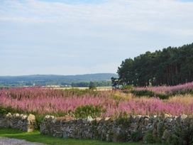 Strathnaver - Scottish Lowlands - 925734 - thumbnail photo 81