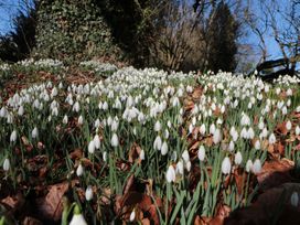 The Old Vicarage - Herefordshire - 926717 - thumbnail photo 58