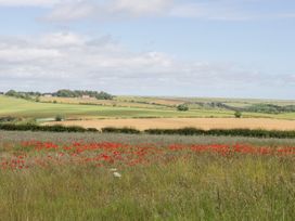 A rural landscape with fields and red flowers in the foreground at Lavender Cottage in Market Weighton