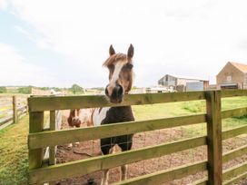 Heathcliff - Yorkshire Dales - 928436 - thumbnail photo 41