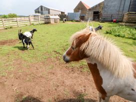 Heathcliff - Yorkshire Dales - 928436 - thumbnail photo 42