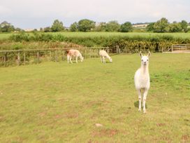 Heathcliff - Yorkshire Dales - 928436 - thumbnail photo 44