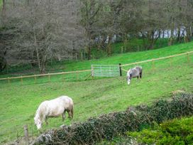 Two horses grazing on a green hillside enclosed by wooden fencing with leafless trees in the background at Little Cow House Pontfaen near Chirk