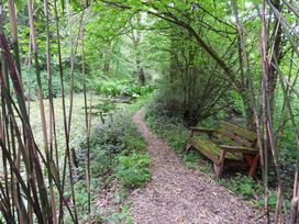 Kingfisher - South Wales - 930698 - thumbnail photo 34