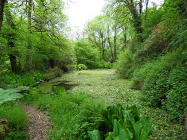 Kingfisher - South Wales - 930698 - thumbnail photo 35